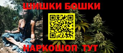 МДПВ Гатчина