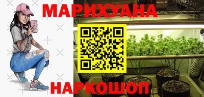 МДПВ Гатчина