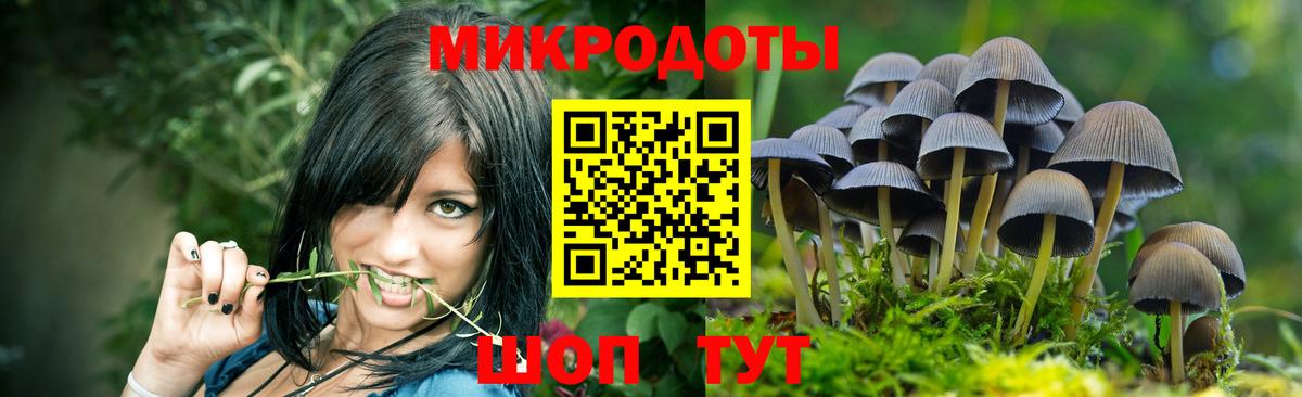 Мурино  Псилоцибиновые грибы ЛСД  Вход с VPN 