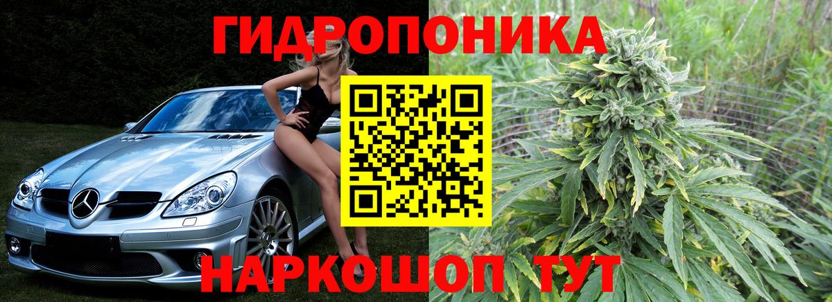 Бошки марихуана конопля  МАРИХУАНА индика  Мурино  Вход с VPN  Бошки Шишки план 